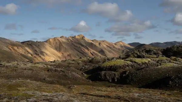 Moss covered lava fields with sun lit rhyolite mountains in the back